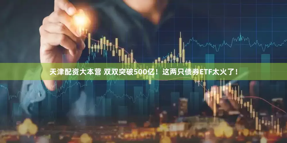 天津配资大本营 双双突破500亿！这两只债券ETF太火了！